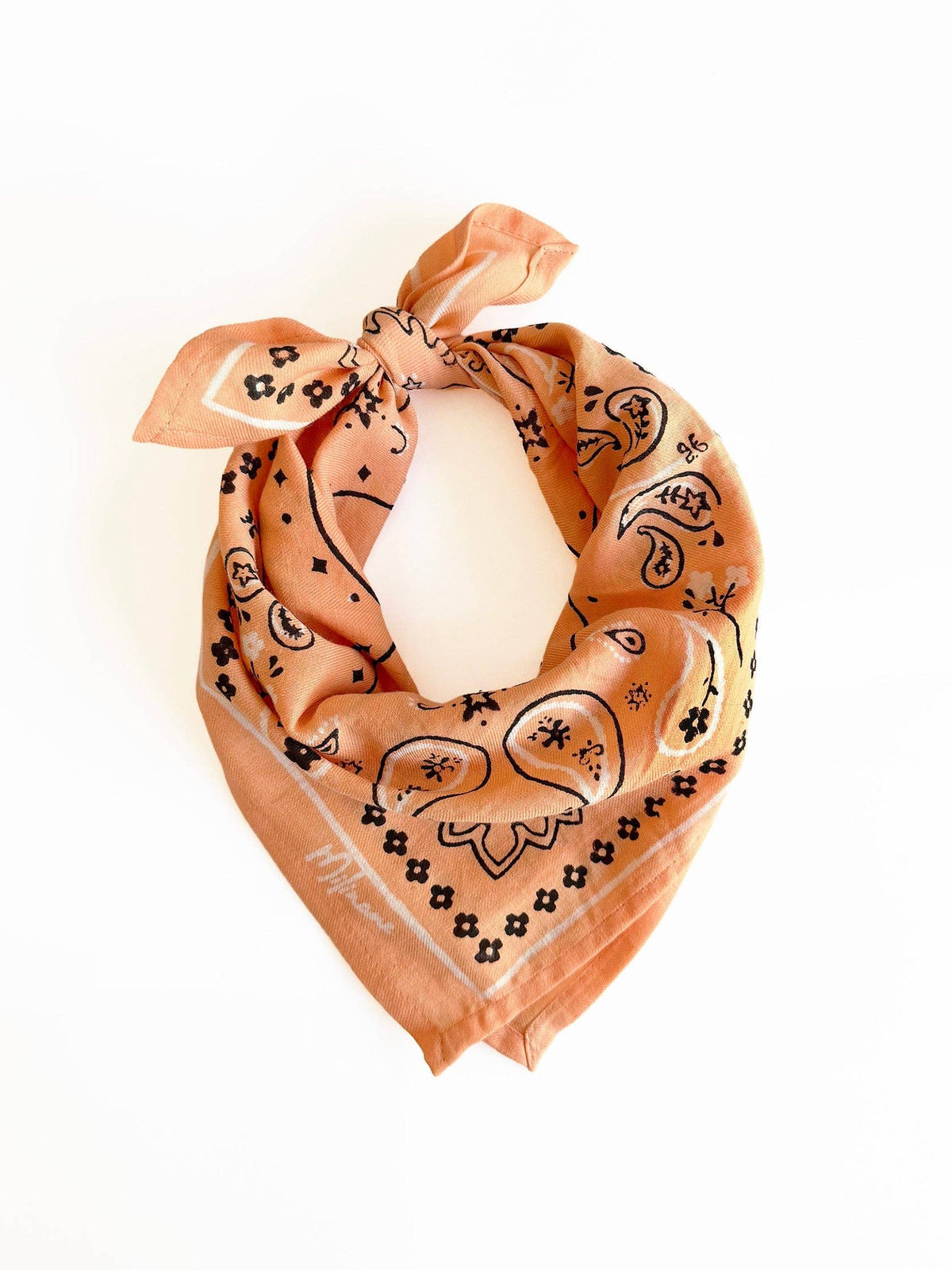 Petit foulard Oscar – bandana pêche
